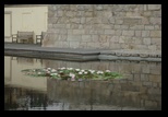 Plzen -01-07-2012 - Bogdan Balaban